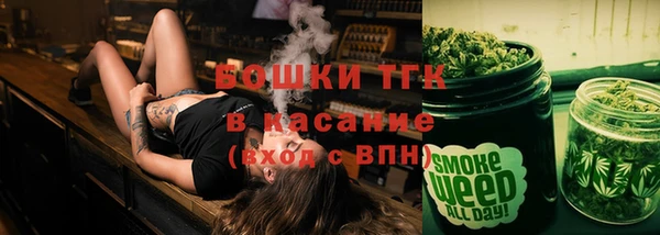 ГАЛЛЮЦИНОГЕННЫЕ ГРИБЫ Аркадак