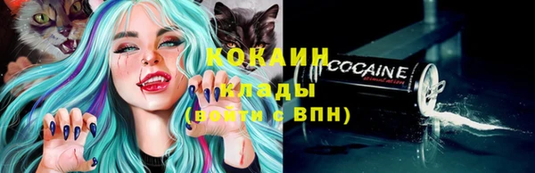 PSILOCYBIN Сатка