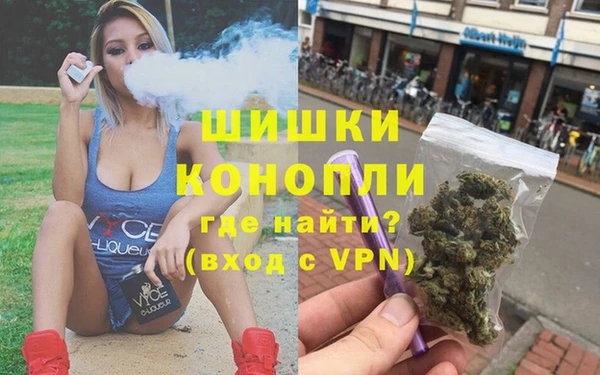 ГАЛЛЮЦИНОГЕННЫЕ ГРИБЫ Аркадак