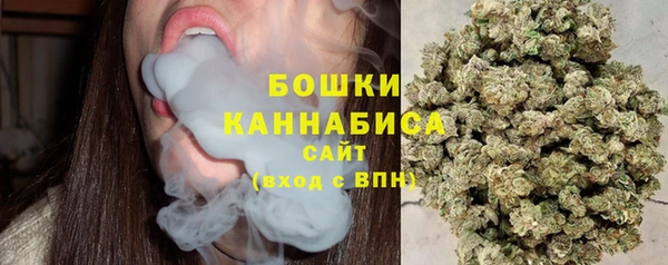 ГАЛЛЮЦИНОГЕННЫЕ ГРИБЫ Аркадак