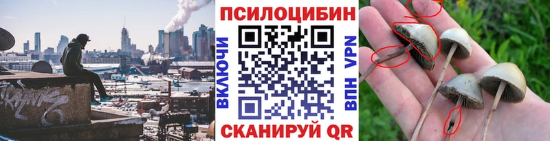 Галлюциногенные грибы мухоморы закладка Дыгулыбгей